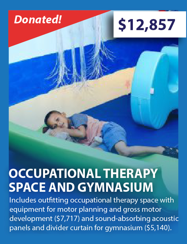 DONATED! Occupational Therapy Space and Gym - $12,857 -Includes outfitting occupational space with equipment for motor development ($,7,717) and sound-absorbing acoustic panels and divider curtain for gymnasium ($5,140)